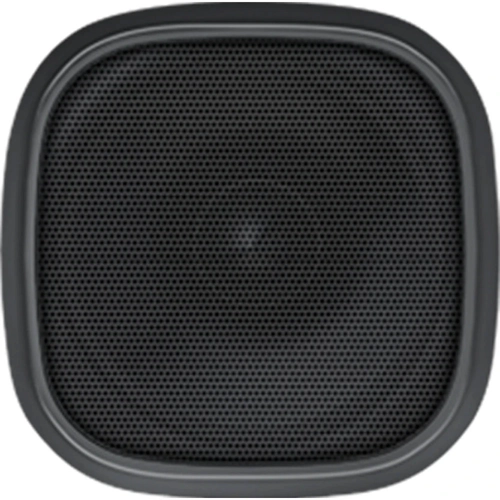 Speaker